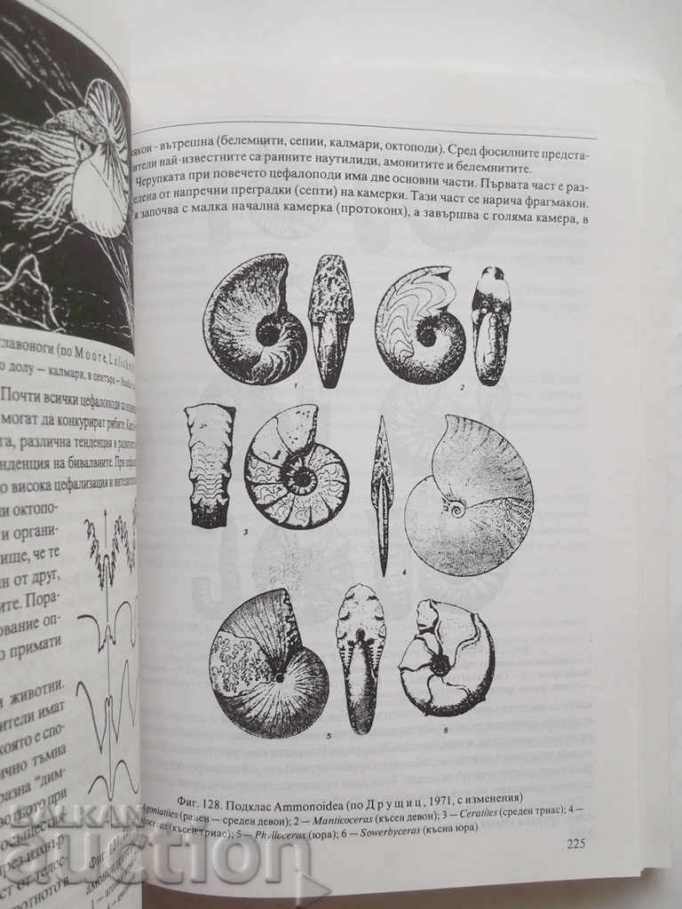 Аукцион Основи на палеонтологията и историчната геология Т. Николов Аукцион Основи на палеонтологията и историчната геология Т. Николов