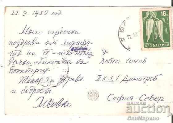 Card Bulgaria Varna Resort Varna Hotel "Lebed" 1* with price 1.90 BGN | € 0.97 Card Bulgaria Varna Resort Varna Hotel "Lebed" 1* with price 1.90 BGN | € 0.97