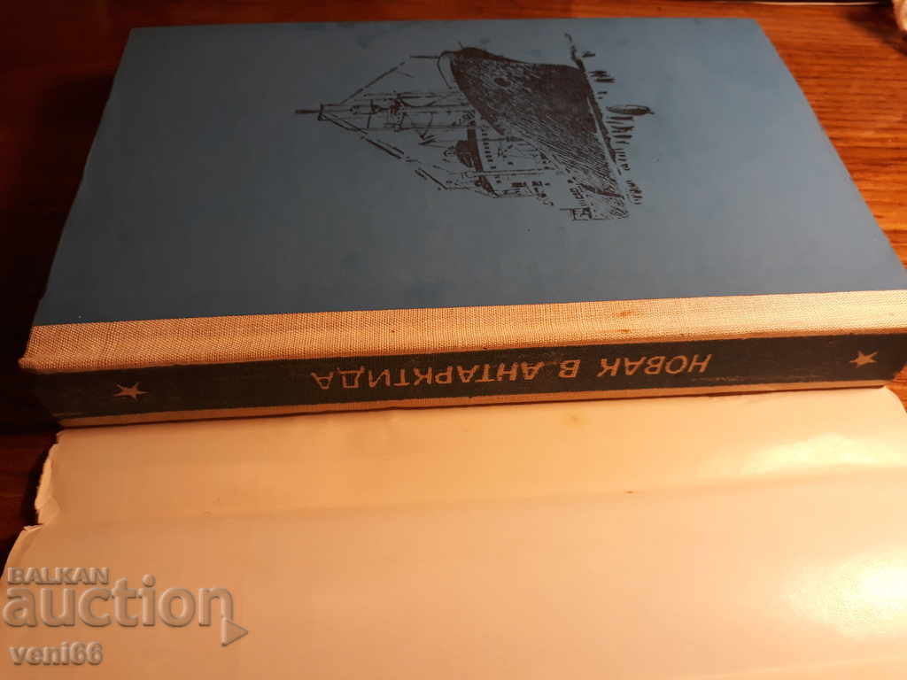 Auction Adolescent Reader - Novice in Antarctica - Vladimir Sanin Auction Adolescent Reader - Novice in Antarctica - Vladimir Sanin
