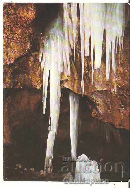 Картичка  България  Пещерата "Леденика" - Предверието*