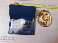 Author plaque - plastic - polished brass