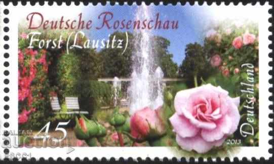 Pink Rose Garden Rose Park 2013 din Germania