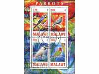 Αποκλεισμένοι παπαγάλοι πανίδας πτηνών 2013 από το Μαλάουι