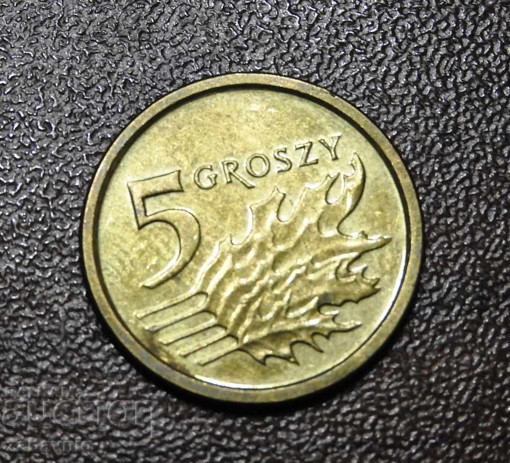 5 Gross Poland 2015