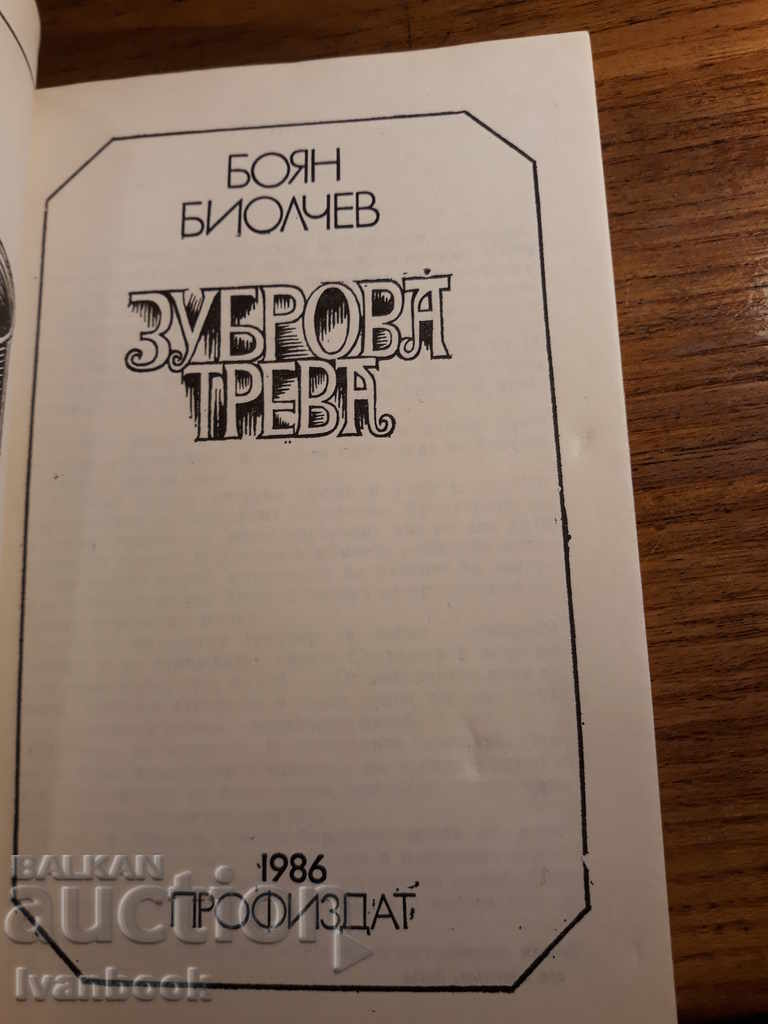 Auction Boyan Biolchev - Zubrowa grass Auction Boyan Biolchev - Zubrowa grass