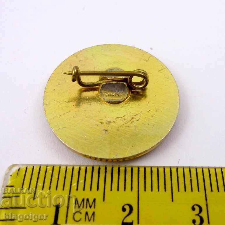 Delivery of I CAN SWIM-DOLPHIN-INTERESTING