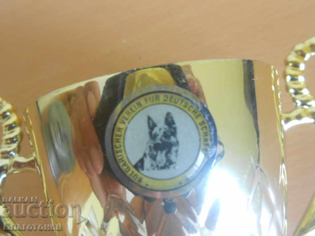 Cup Prize German Shepherd Dog - 6 Cup Prize German Shepherd Dog - 6