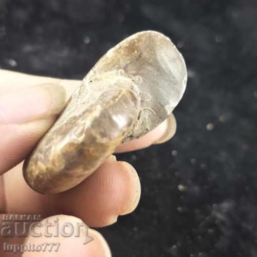 Delivery of fossil ammonite natural marine opalised Delivery of fossil ammonite natural marine opalised