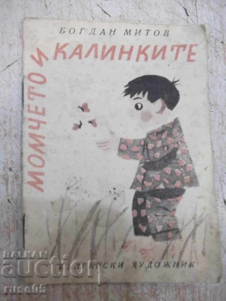 Book "Boy and Ladybugs - Bogdan Mitov" - 16 pp.