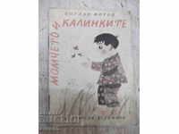 Βιβλίο "Αγόρι και Ladybugs - Bogdan Mitov" - 16 σελίδες.