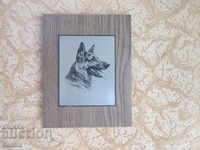 Wonderful picture on metal metal picture wolf dog