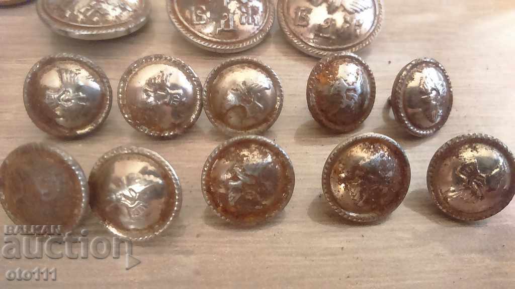 Δημοπρασία ΚΑΡΠΚΙ ΚΟΠΚΕΤΑ - 17 τεμάχια - BDZ Δημοπρασία ΚΑΡΠΚΙ ΚΟΠΚΕΤΑ - 17 τεμάχια - BDZ