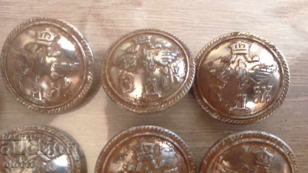 Παράδοση ΚΑΡΠΚΙ ΚΟΠΚΕΤΑ - 17 τεμάχια - BDZ Παράδοση ΚΑΡΠΚΙ ΚΟΠΚΕΤΑ - 17 τεμάχια - BDZ