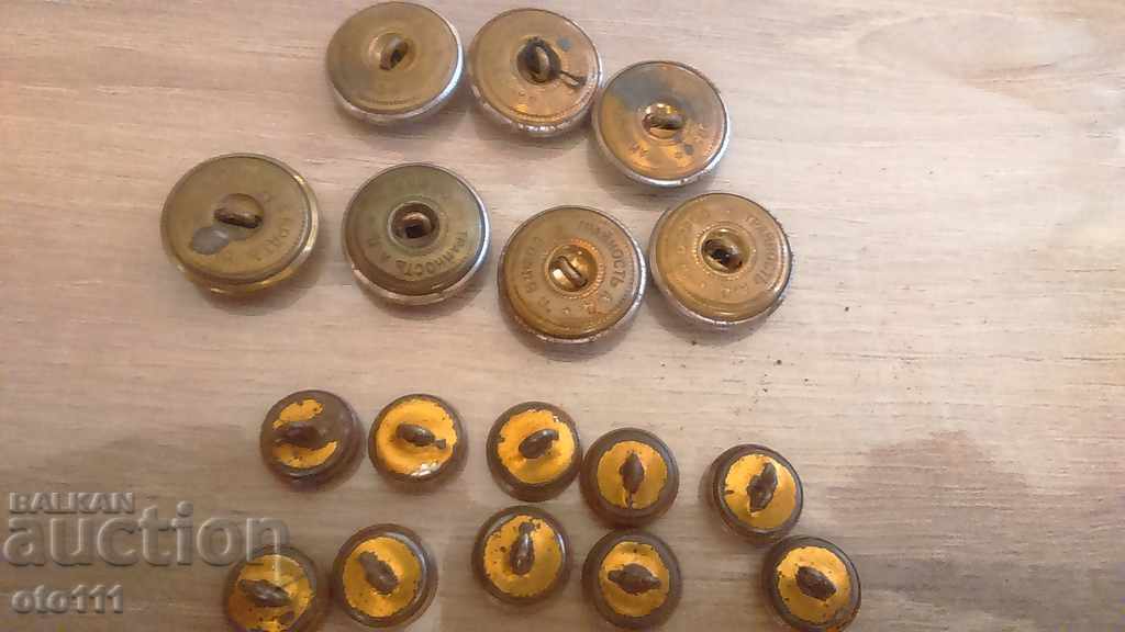 ΚΑΡΠΚΙ ΚΟΠΚΕΤΑ - 17 τεμάχια - BDZ - 5 ΚΑΡΠΚΙ ΚΟΠΚΕΤΑ - 17 τεμάχια - BDZ - 5