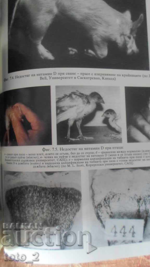 Livrarea FUNDAMENTELE NUTRIȚIEI - N. TODOROV, B. MARINOV, A. ALEXIEV