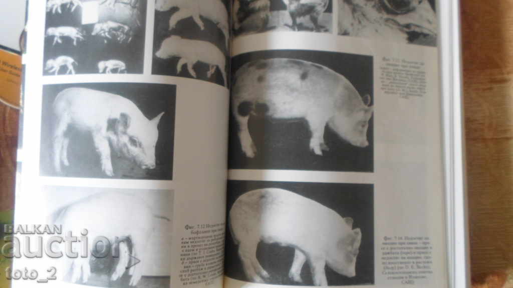 FUNDAMENTELE NUTRIȚIEI - N. TODOROV, B. MARINOV, A. ALEXIEV - 6