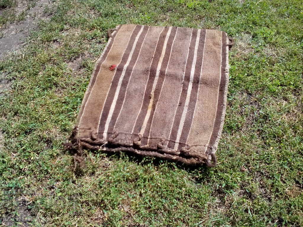 An old furry bag - 6