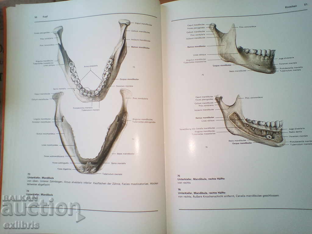 Auction Atlas der Anatomie des Menschen. Band 3 Auction Atlas der Anatomie des Menschen. Band 3