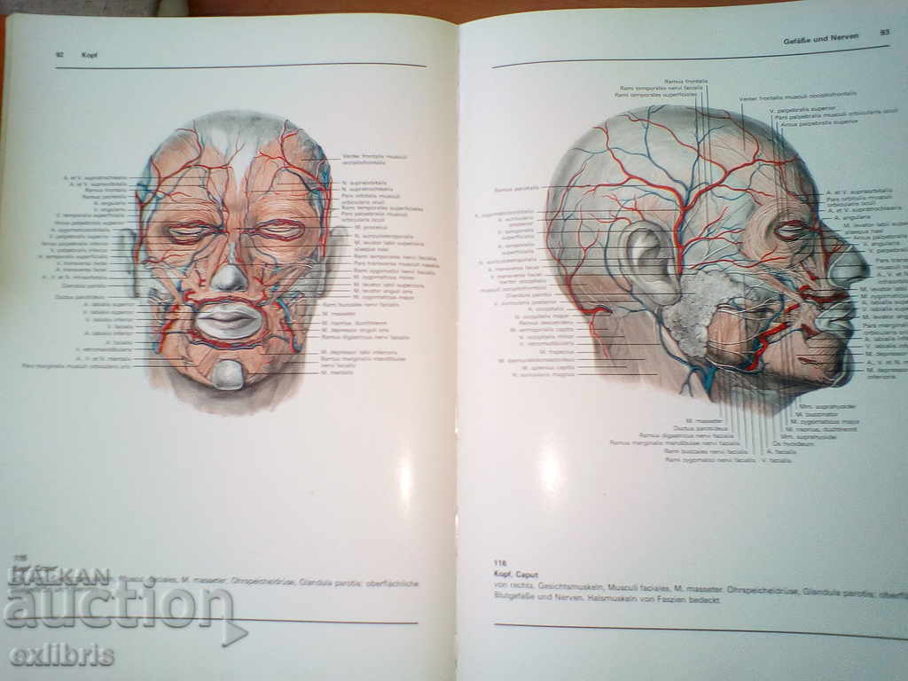 Delivery of Atlas der Anatomie des Menschen. Band 3 Delivery of Atlas der Anatomie des Menschen. Band 3