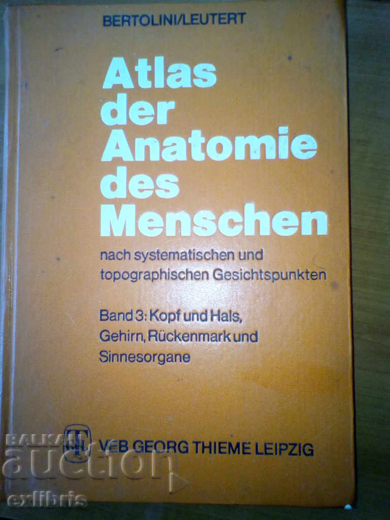 Atlas der Anatomie des Menschen. Trupa 3