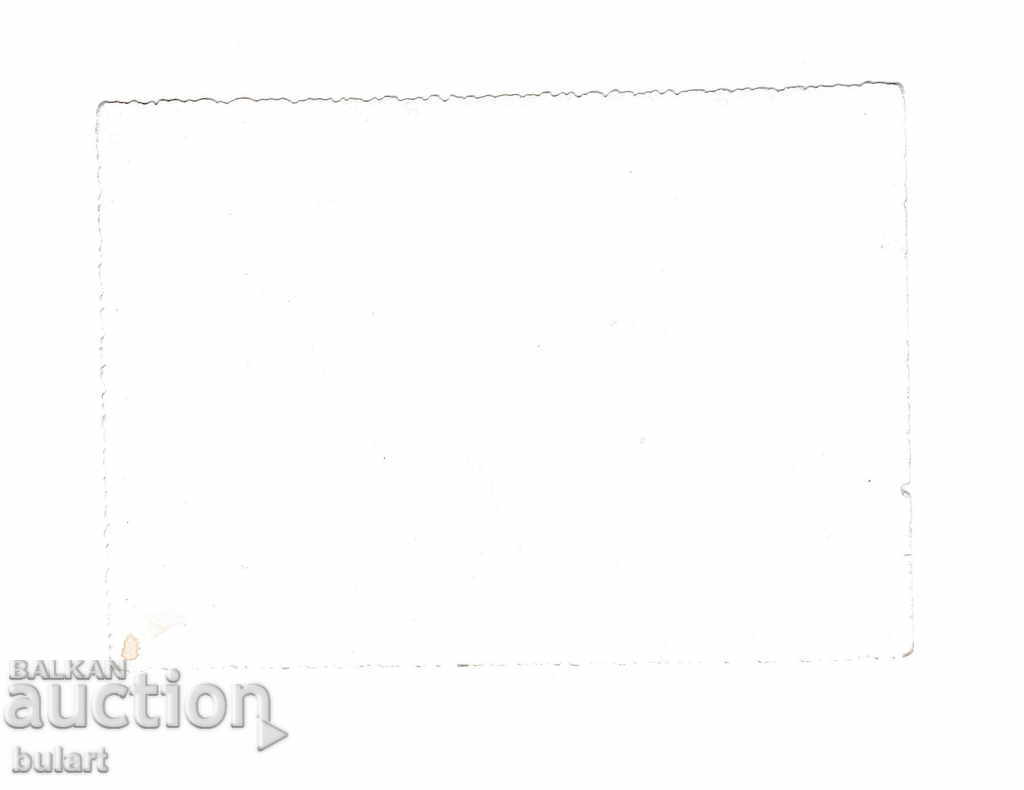 Photo Officers Officer Kingdom of Bulgaria with price 25.00 BGN | € 12.78 Photo Officers Officer Kingdom of Bulgaria with price 25.00 BGN | € 12.78