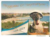 Καρτ ποστάλ Βουλγαρία Τσερνομόρετς Μπουργκάς 6 *