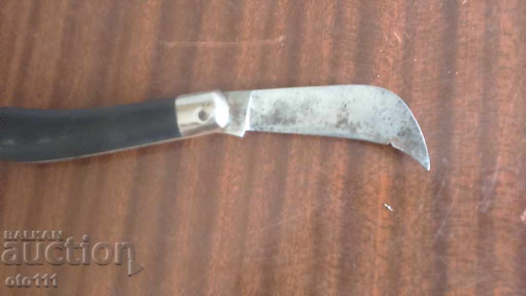 Auction OLD BUCK - WITH MARKINGS Auction OLD BUCK - WITH MARKINGS