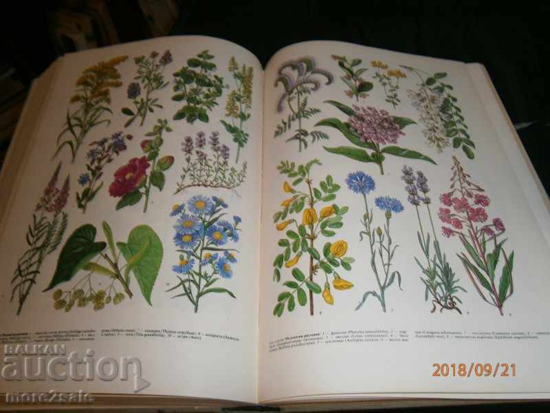 Auction AGRICULTURAL ENCYCLOPEDIA - ТОМ 2 - 1987 г. / 704 СТР Auction AGRICULTURAL ENCYCLOPEDIA - ТОМ 2 - 1987 г. / 704 СТР