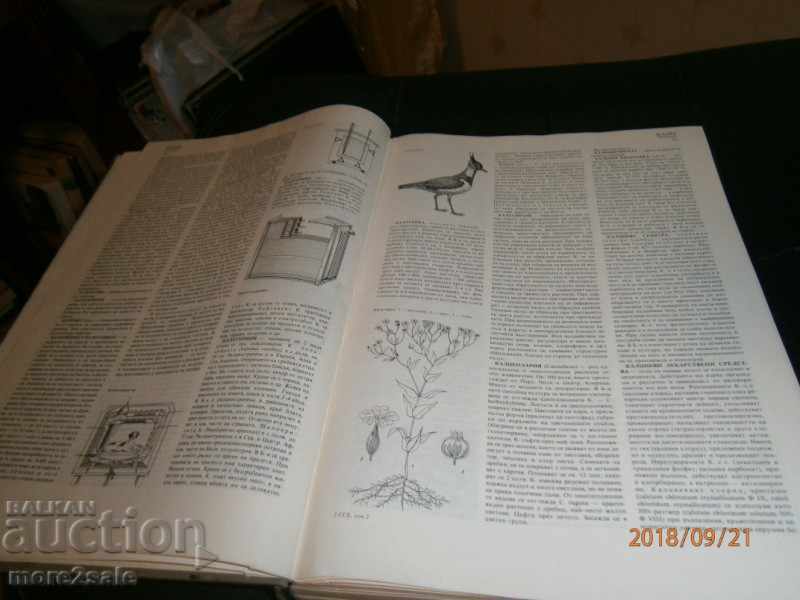 Delivery of AGRICULTURAL ENCYCLOPEDIA - ТОМ 2 - 1987 г. / 704 СТР Delivery of AGRICULTURAL ENCYCLOPEDIA - ТОМ 2 - 1987 г. / 704 СТР