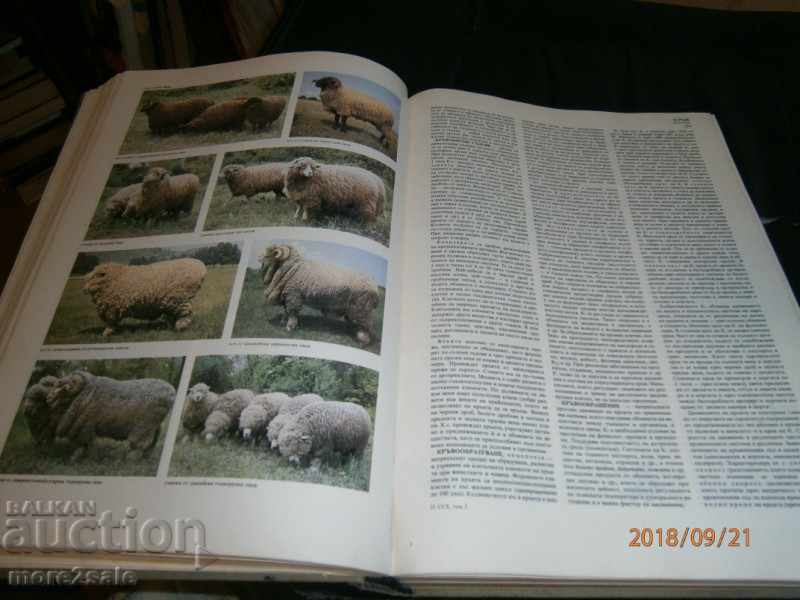 AGRICULTURAL ENCYCLOPEDIA - ТОМ 2 - 1987 г. / 704 СТР - 5 AGRICULTURAL ENCYCLOPEDIA - ТОМ 2 - 1987 г. / 704 СТР - 5