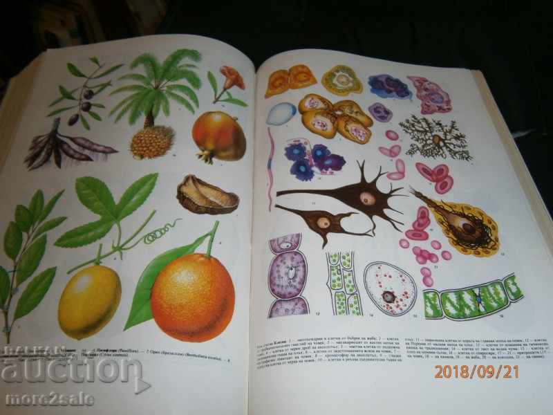 AGRICULTURAL ENCYCLOPEDIA - ТОМ 2 - 1987 г. / 704 СТР - 6 AGRICULTURAL ENCYCLOPEDIA - ТОМ 2 - 1987 г. / 704 СТР - 6