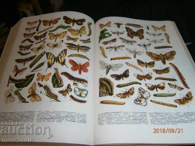 AGRICULTURAL ENCYCLOPEDIA - ТОМ 2 - 1987 г. / 704 СТР - 7 AGRICULTURAL ENCYCLOPEDIA - ТОМ 2 - 1987 г. / 704 СТР - 7