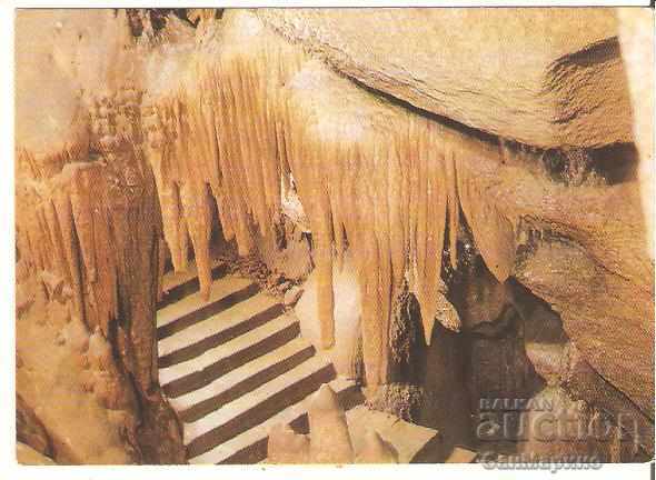 Картичка  България  Пещерата "Леденика" -Сребърният водопад*