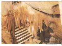 Картичка  България  Пещерата "Леденика" -Сребърният водопад*