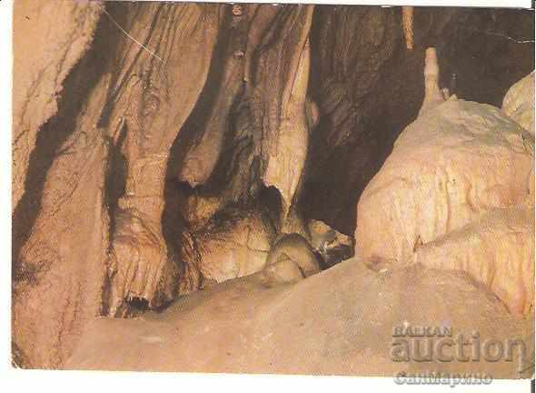 Картичка  България  Пещерата "Леденика" -Ръката на великана*