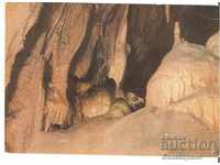 Картичка  България  Пещерата "Леденика" -Ръката на великана*