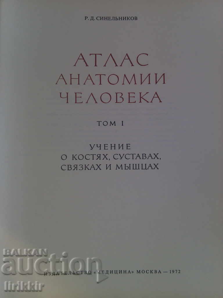 Atlas de Anatomie Umană Vol. 1 și 3 cu preț € 45.00 | 88.01 BGN