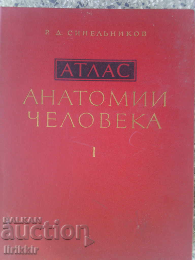 Atlas Anatomii 1 and 3 vol