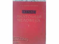 Atlas Anatomii 1 and 3 vol