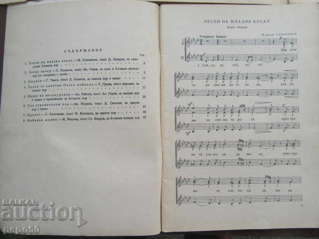 Delivery of Magazine MUSICAL SAMODEINNOST - issue 1, 2 and 6 - 1960