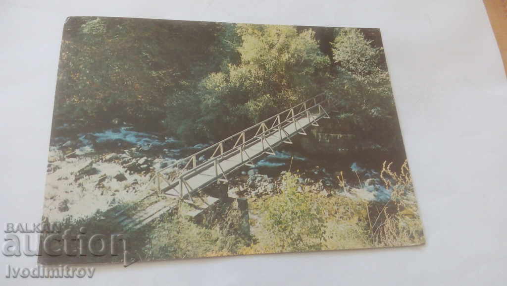 Пощенска картичка Река Рилска Партизанският мост 1979
