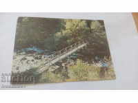 Пощенска картичка Река Рилска Партизанският мост 1979