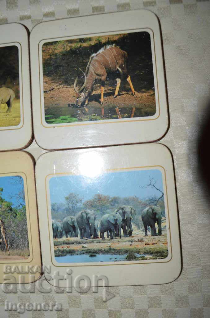 Γλάστρες για μπύρα, τσάι, καφέ με τιμή 7.99 BGN | € 4.09 Γλάστρες για μπύρα, τσάι, καφέ με τιμή 7.99 BGN | € 4.09