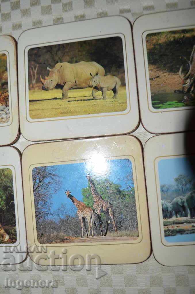 Δημοπρασία Γλάστρες για μπύρα, τσάι, καφέ Δημοπρασία Γλάστρες για μπύρα, τσάι, καφέ