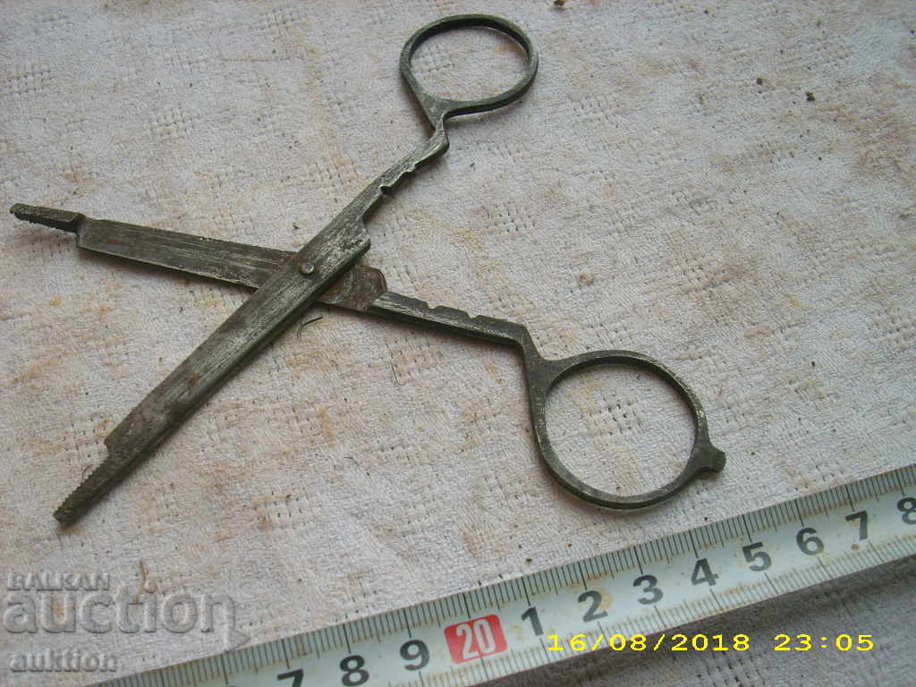 Auction STAR HORSES MEDICAL NECK Auction STAR HORSES MEDICAL NECK