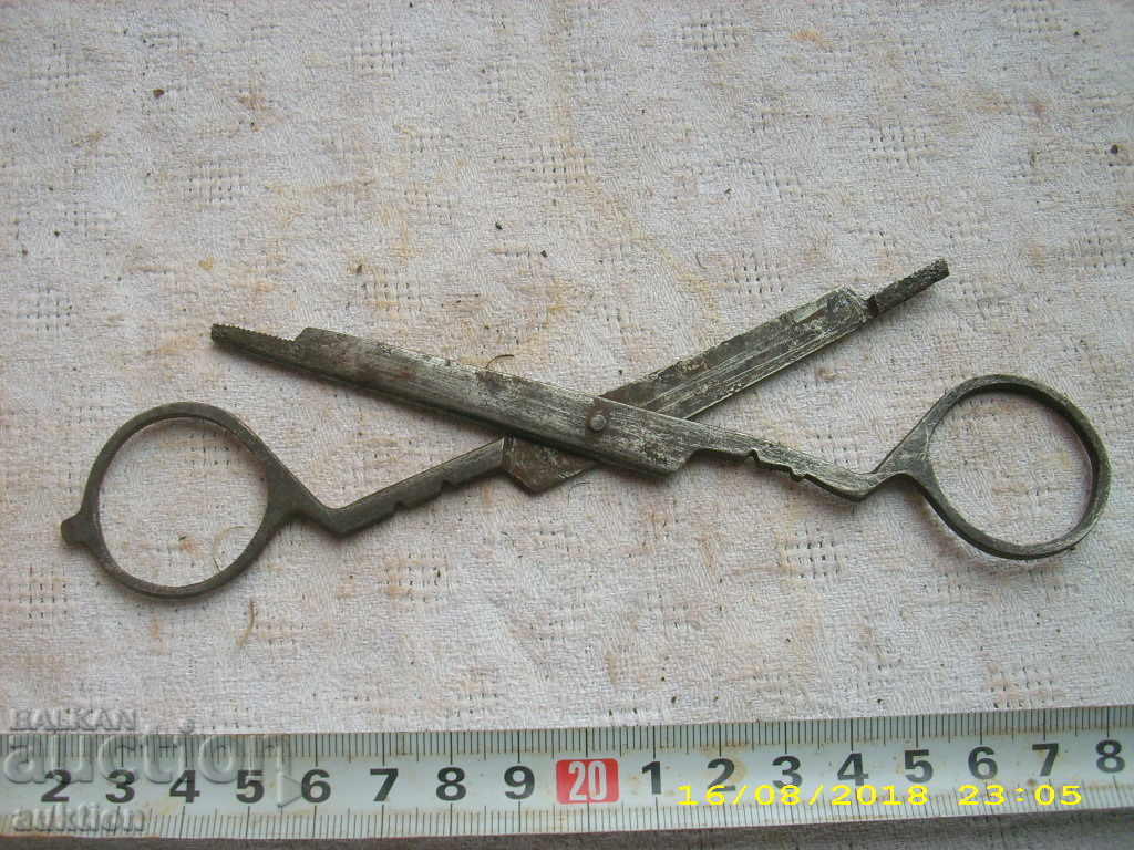 Delivery of STAR HORSES MEDICAL NECK Delivery of STAR HORSES MEDICAL NECK