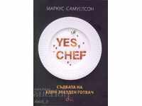 Yes, chef. The Destiny of a Star Chef