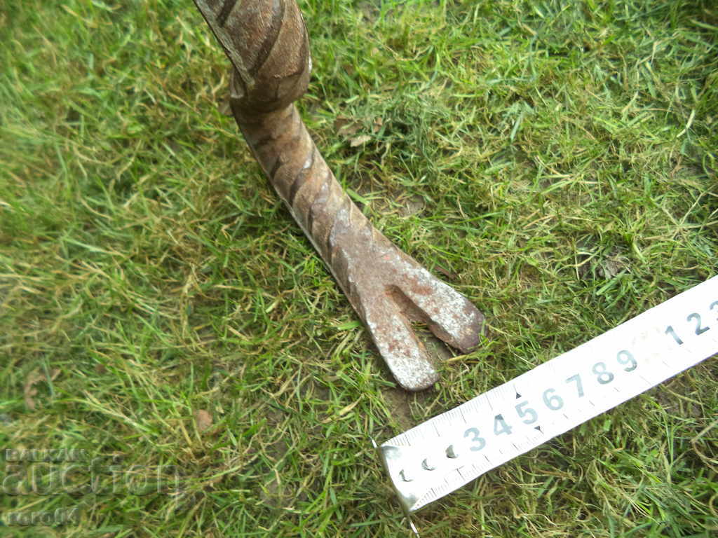 YAK, STAR COSIKRAK - 1,70 METERS - 6 YAK, STAR COSIKRAK - 1,70 METERS - 6