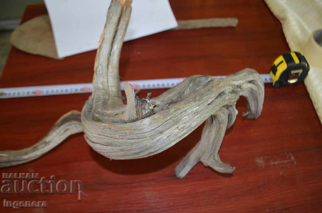 Sagetatorul, un copac natural al muntelui, desigur cu preț 41.00 BGN | € 20.96