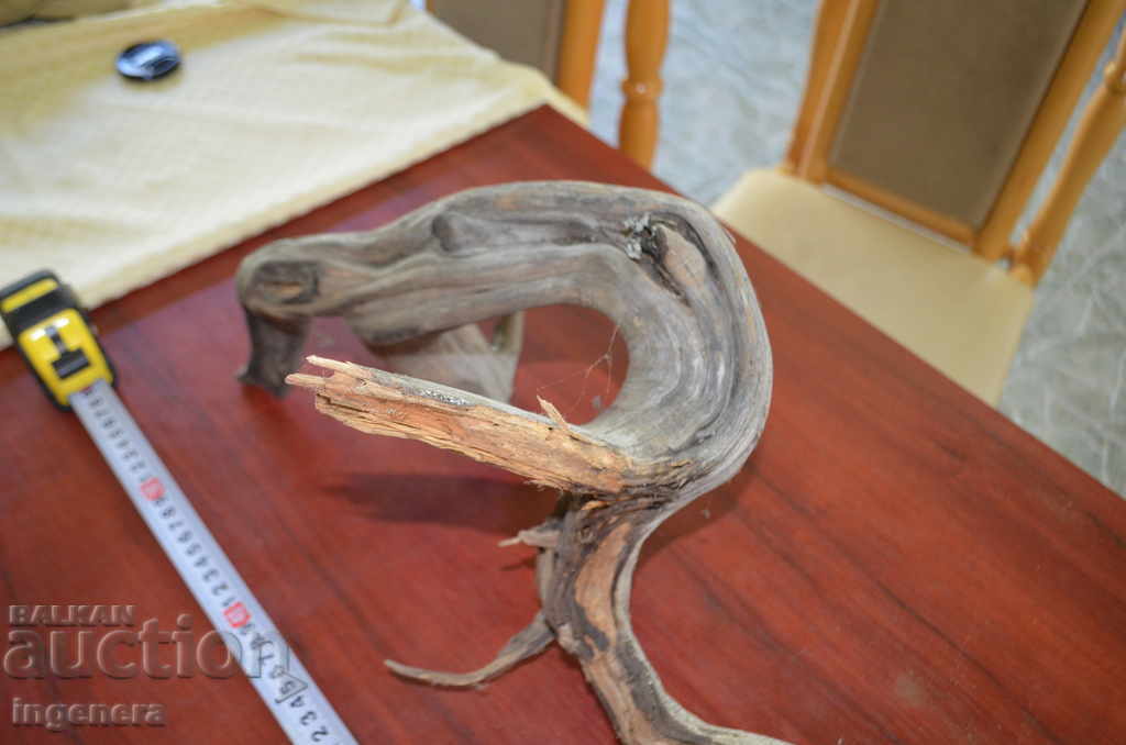 Licitație Sagetatorul, un copac natural al muntelui, desigur